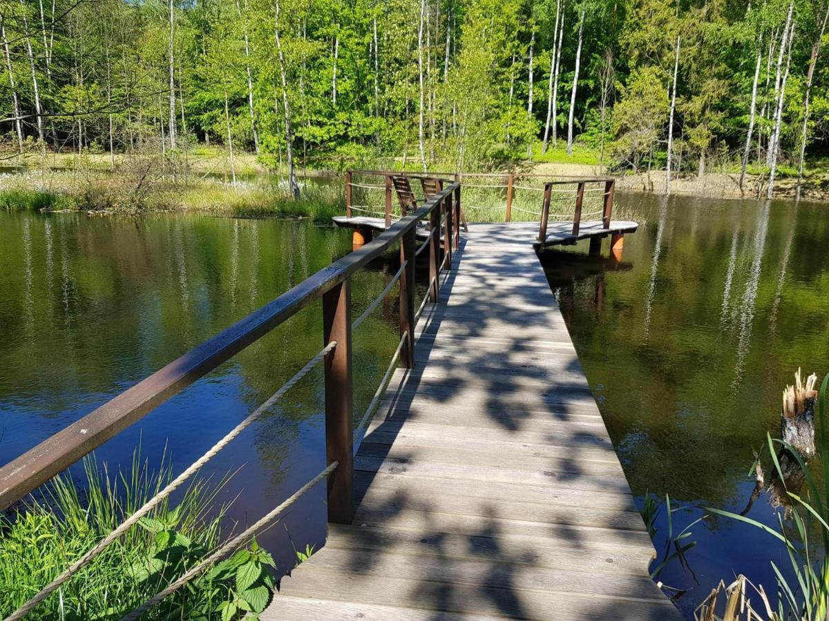 Osada Skoczkowo Komfortowe Domki Z Jacuzzi Nad Jeziorem- Sauna- Balia- Prywatny Staw Wedkarski Podiazy المظهر الخارجي الصورة